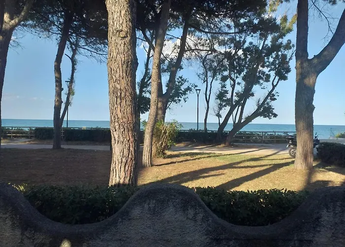 Bright Quadruple A Stone Throw From The Sea Panzió Pineto